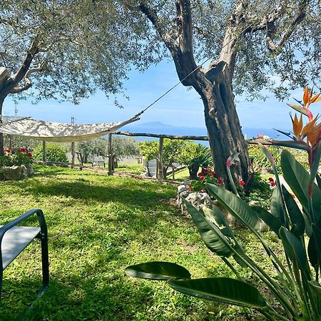 Villa Raf Vico Equense Eksteriør bilde