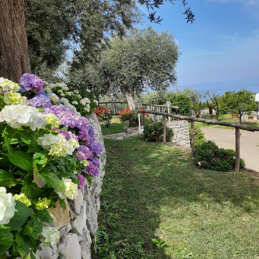 Villa Raf Vico Equense Eksteriør bilde