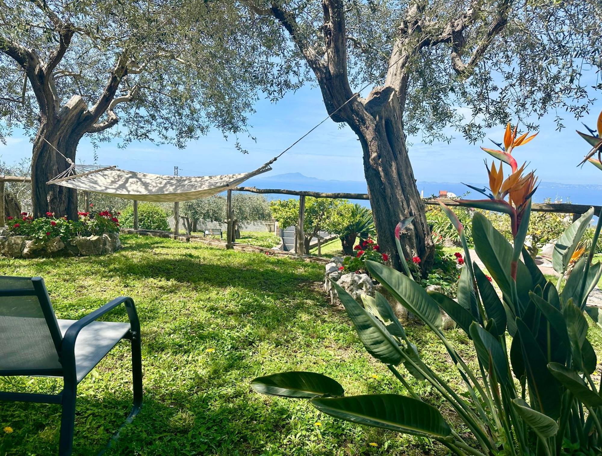 Villa Raf Vico Equense Eksteriør bilde